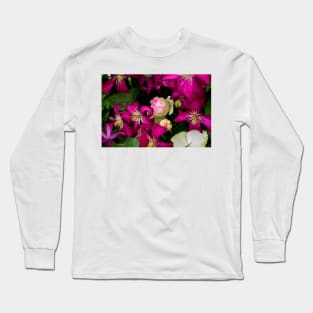 A Rose Among The Clematis Long Sleeve T-Shirt